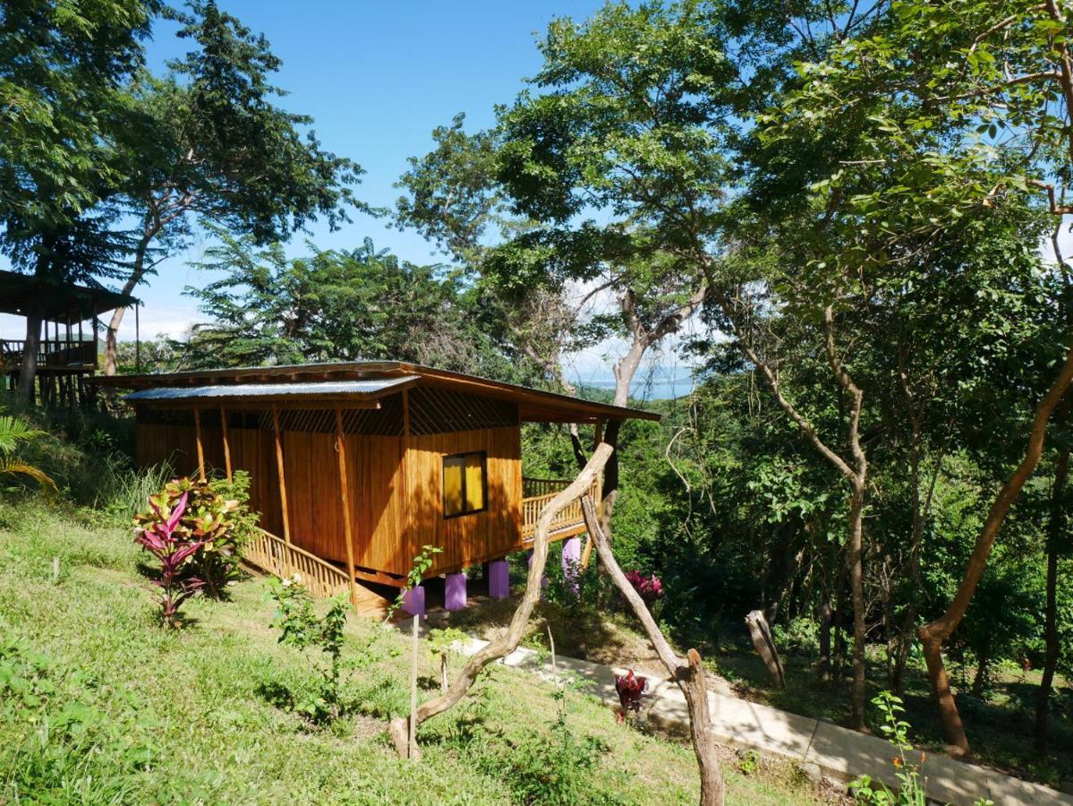 Finca Colibri Ecolodges En Pleine Nature Ferry Playa Najanjo Costa Rica Cabo Blanco Exterior photo