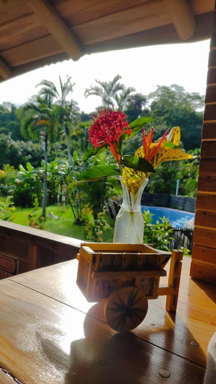 Finca Colibri Ecolodges En Pleine Nature Ferry Playa Najanjo Costa Rica Cabo Blanco Exterior photo
