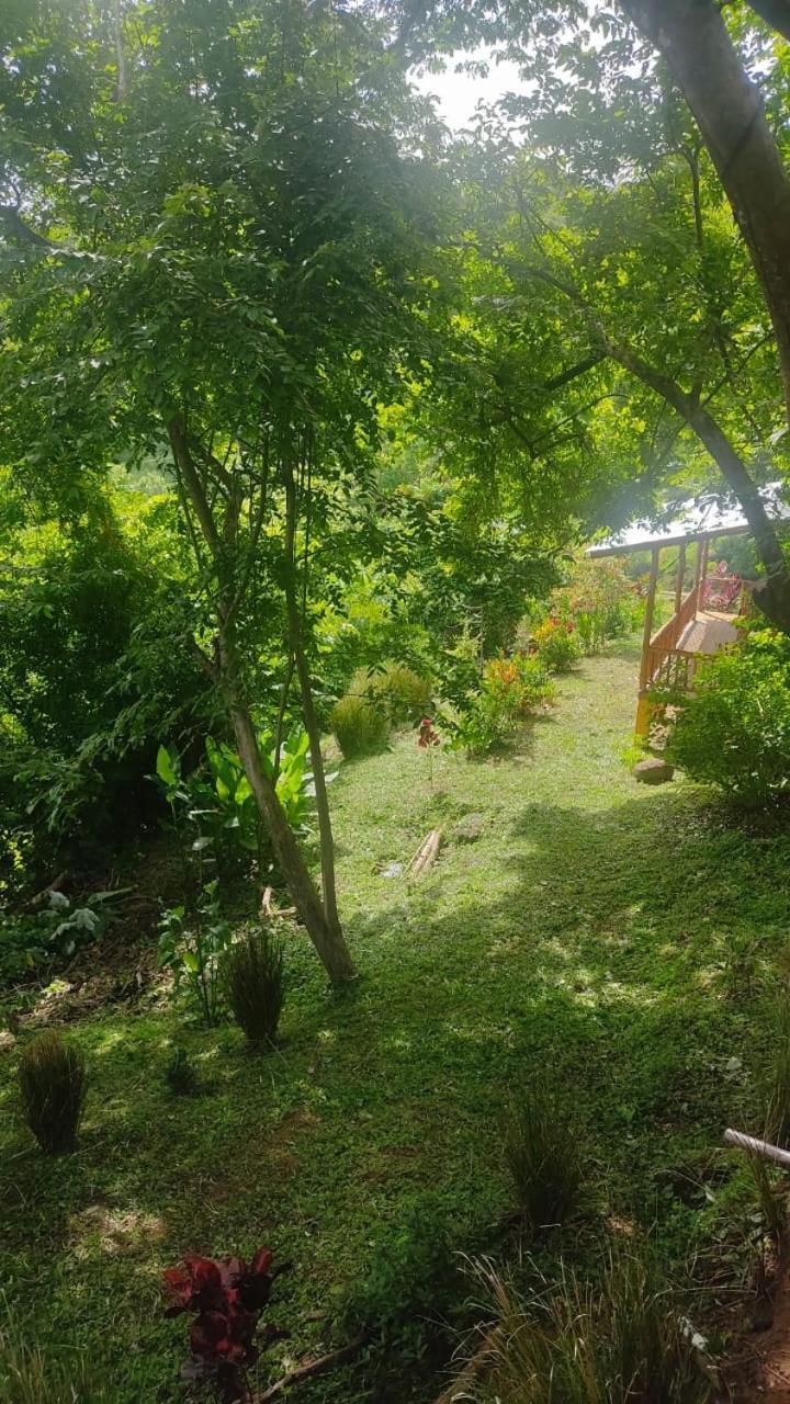 Finca Colibri Ecolodges En Pleine Nature Ferry Playa Najanjo Costa Rica Cabo Blanco Exterior photo